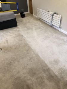 Just look after the difference after extraction carpet cleaning.